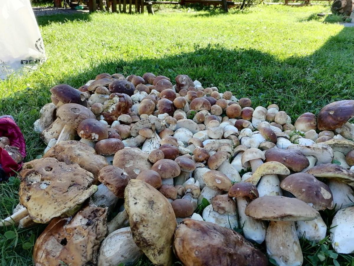 Котедж Віадук Vorokhta Exterior photo